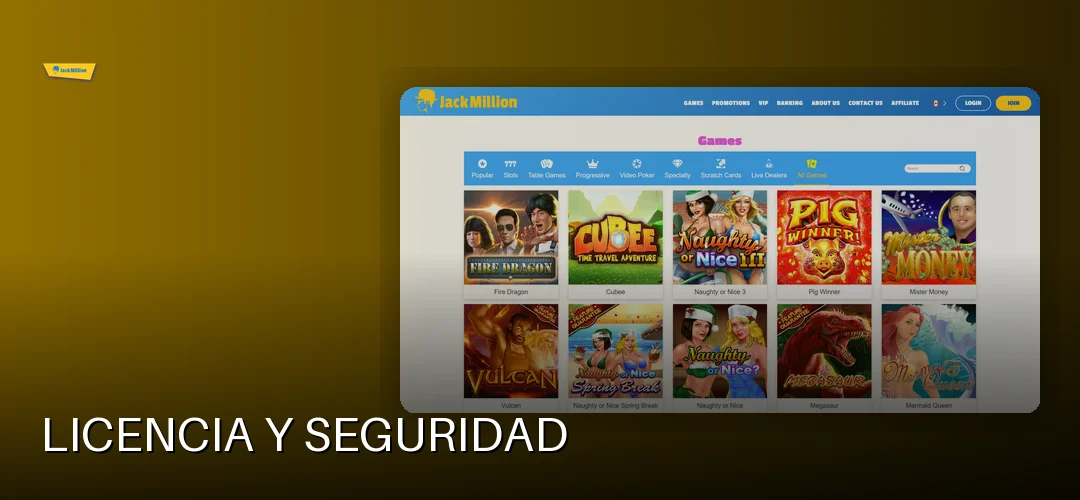 Licencia y seguridad